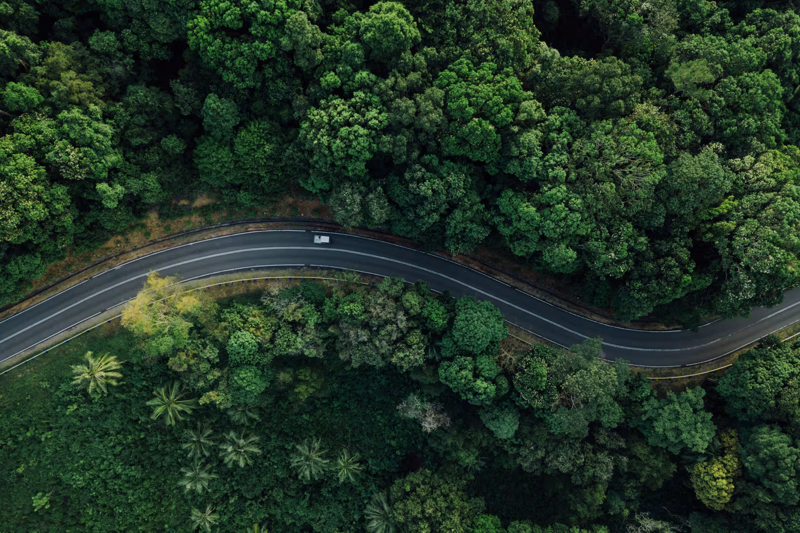Een witte auto rijdt op een kronkelweg door een bosrijke omgeving.